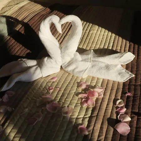 Apartma, Glamping Na Koncu Vasi